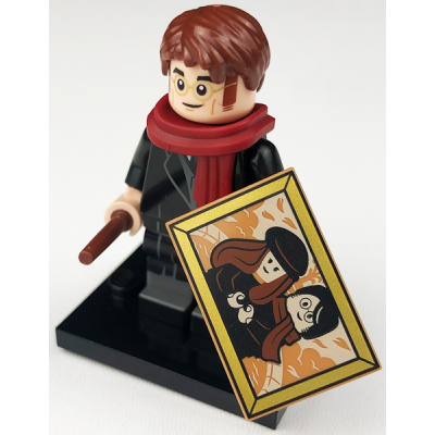 LEGO MINIFIGS Harry Potter™ James Potter 2020